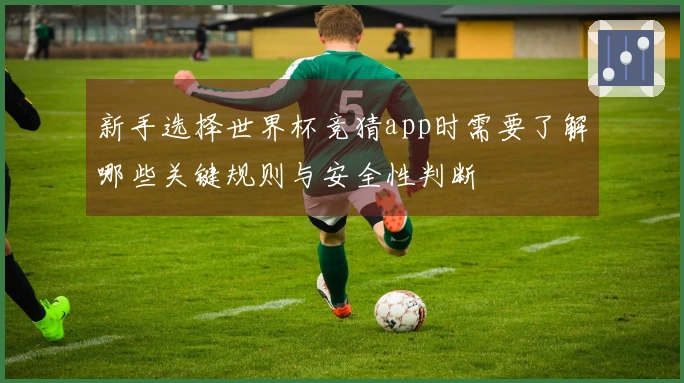 新手选择世界杯竞猜app时需要了解哪些关键规则与安全性判断