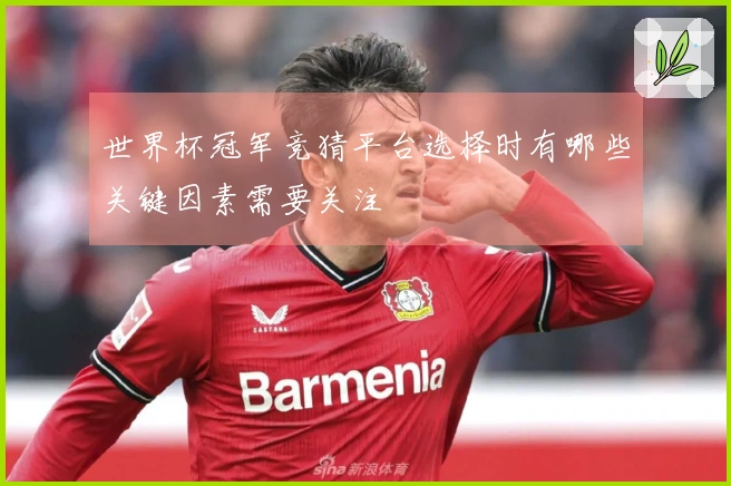 世界杯冠军竞猜平台选择时有哪些关键因素需要关注