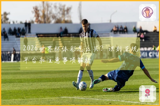 2026世界杯体彩怎么买？识别正规平台和注意事项解析
