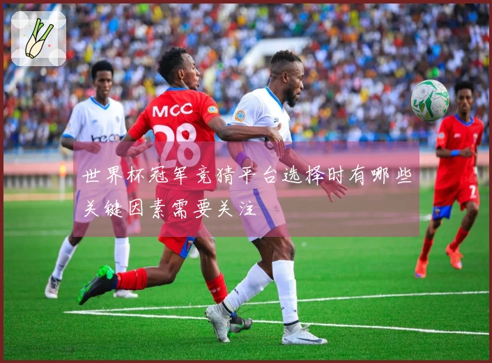 世界杯冠军竞猜平台选择时有哪些关键因素需要关注