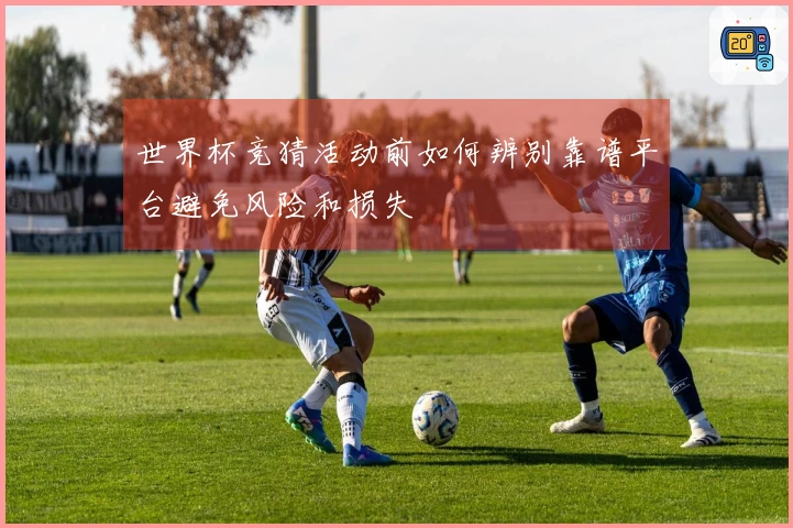 世界杯竞猜活动前如何辨别靠谱平台避免风险和损失