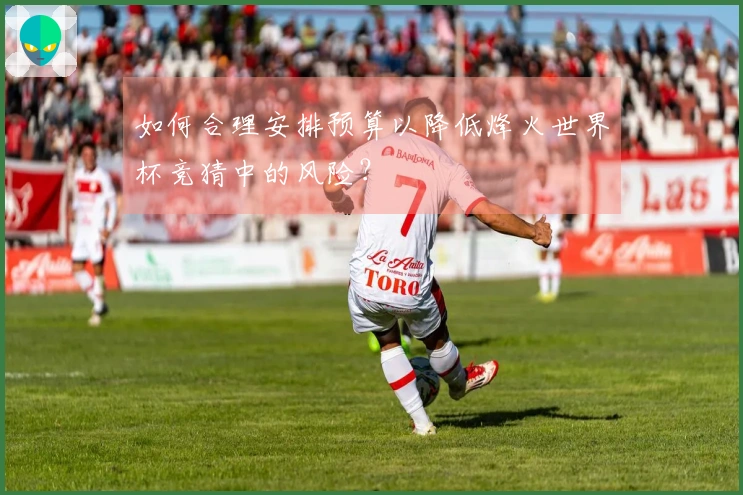 如何合理安排预算以降低烽火世界杯竞猜中的风险？
