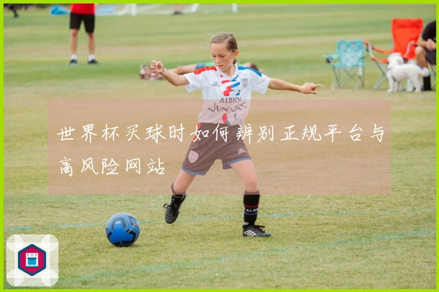 世界杯买球时如何辨别正规平台与高风险网站