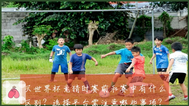 买世界杯竞猜时赛前和赛中有什么区别？选择平台需注意哪些事项？