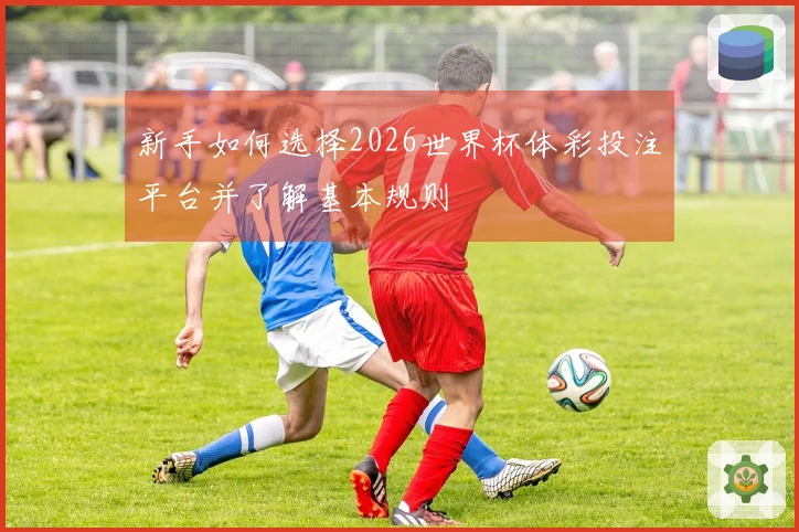 新手如何选择2026世界杯体彩投注平台并了解基本规则