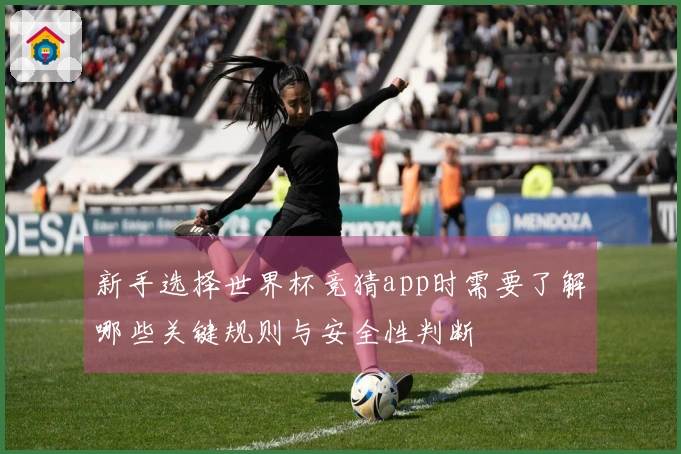 新手选择世界杯竞猜app时需要了解哪些关键规则与安全性判断