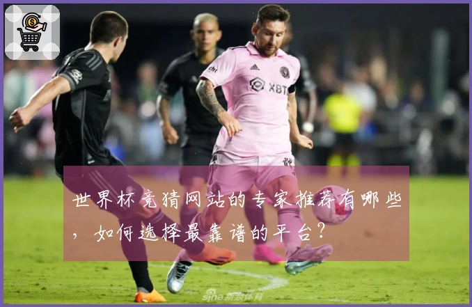 世界杯竞猜网站的专家推荐有哪些，如何选择最靠谱的平台？