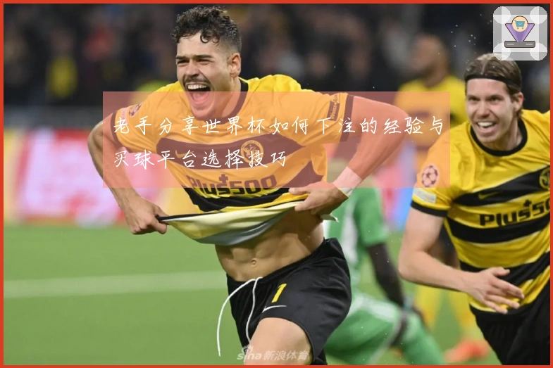 老手分享世界杯如何下注的经验与买球平台选择技巧