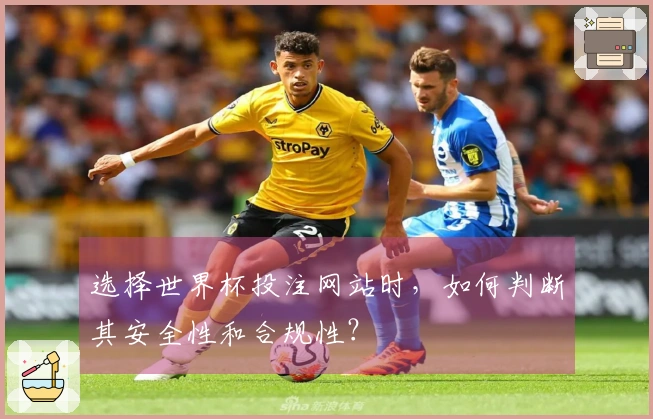 选择世界杯投注网站时，如何判断其安全性和合规性？