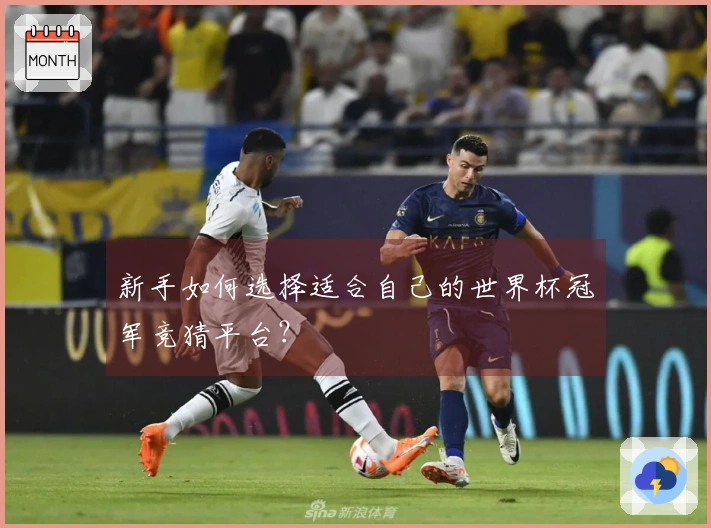 新手如何选择适合自己的世界杯冠军竞猜平台？