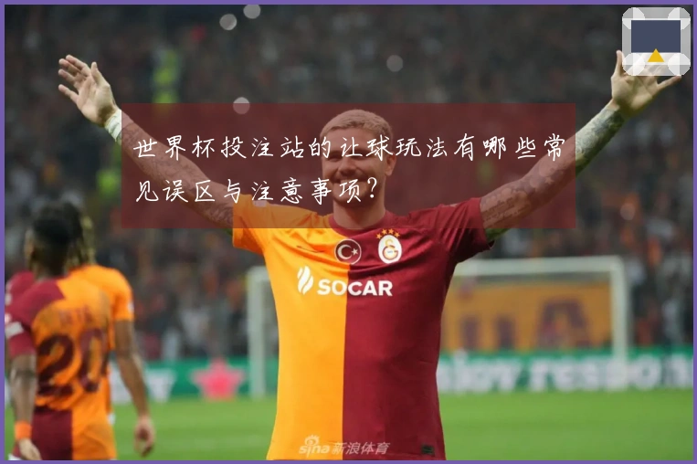 世界杯投注站的让球玩法有哪些常见误区与注意事项？