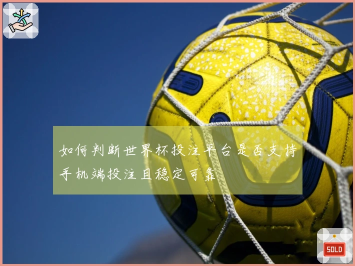 如何判断世界杯投注平台是否支持手机端投注且稳定可靠
