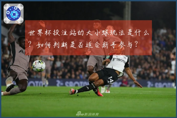 世界杯投注站的大小球玩法是什么？如何判断是否适合新手参与？