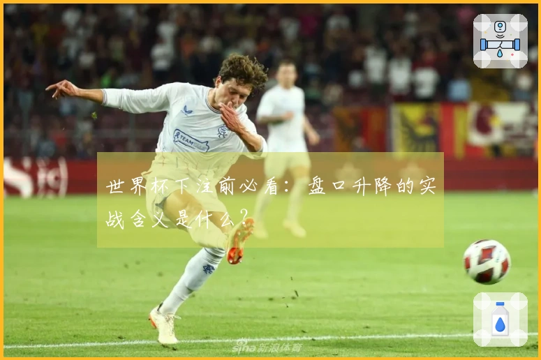 世界杯下注前必看：盘口升降的实战含义是什么？