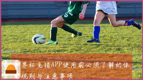 世界杯竞猜APP使用前必须了解的体彩规则与注意事项