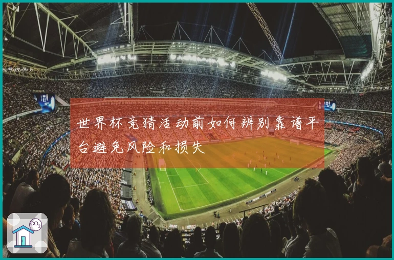世界杯竞猜活动前如何辨别靠谱平台避免风险和损失