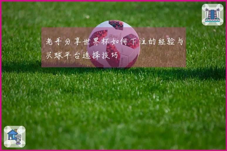 老手分享世界杯如何下注的经验与买球平台选择技巧