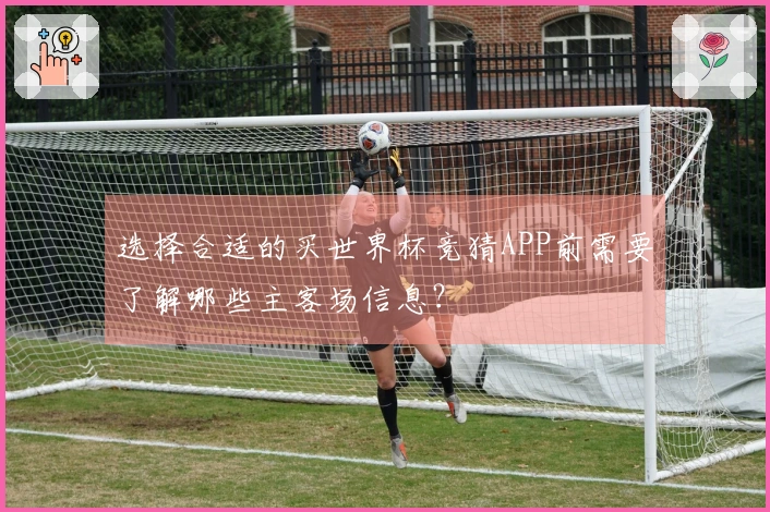选择合适的买世界杯竞猜APP前需要了解哪些主客场信息？