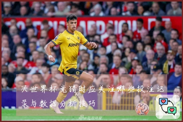 买世界杯竞猜时应关注哪些投注记录与数据分析技巧