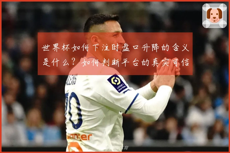 世界杯如何下注时盘口升降的含义是什么？如何判断平台的真实可信度？