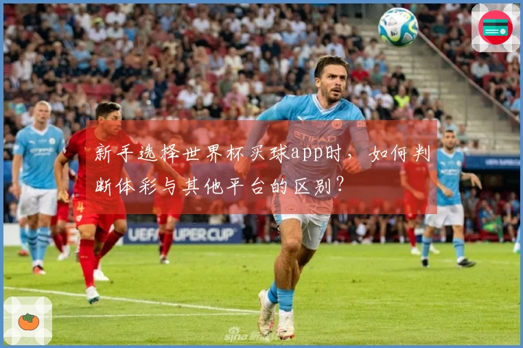 新手选择世界杯买球app时，如何判断体彩与其他平台的区别？