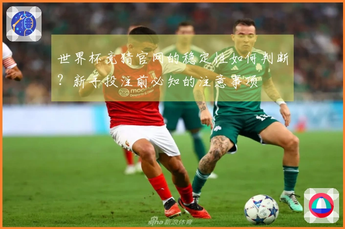 世界杯竞猜官网的稳定性如何判断？新手投注前必知的注意事项
