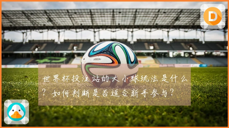 世界杯投注站的大小球玩法是什么？如何判断是否适合新手参与？