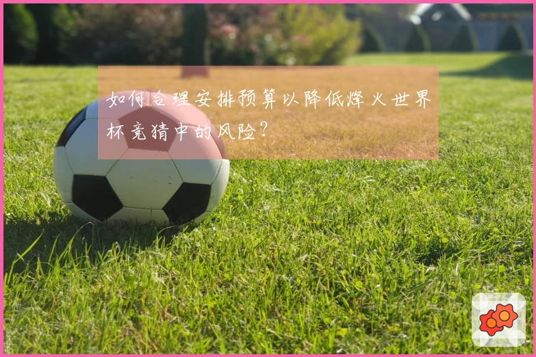 如何合理安排预算以降低烽火世界杯竞猜中的风险？