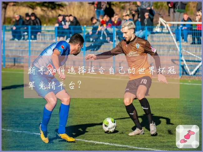 新手如何选择适合自己的世界杯冠军竞猜平台？