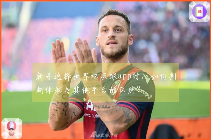 新手选择世界杯买球app时，如何判断体彩与其他平台的区别？
