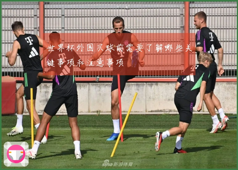 世界杯外围买球前需要了解哪些关键事项和注意事项