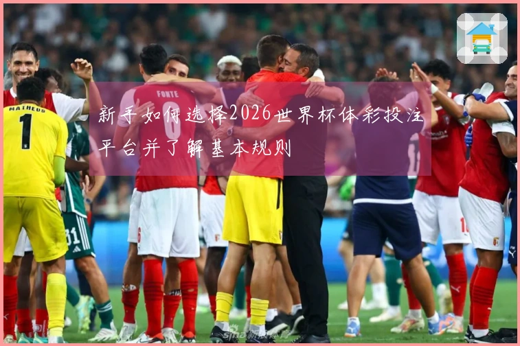新手如何选择2026世界杯体彩投注平台并了解基本规则