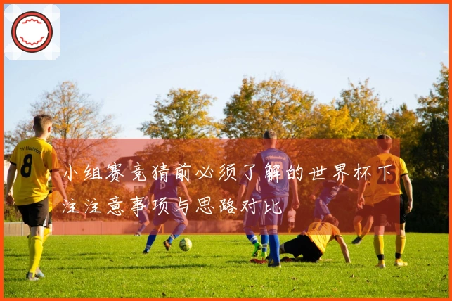 小组赛竞猜前必须了解的世界杯下注注意事项与思路对比