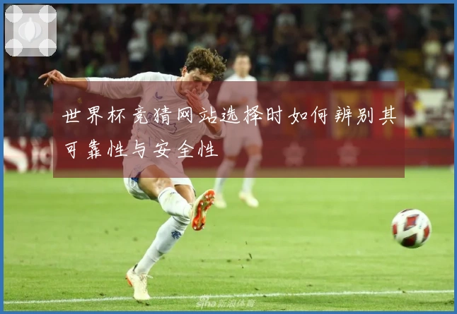 世界杯竞猜网站选择时如何辨别其可靠性与安全性