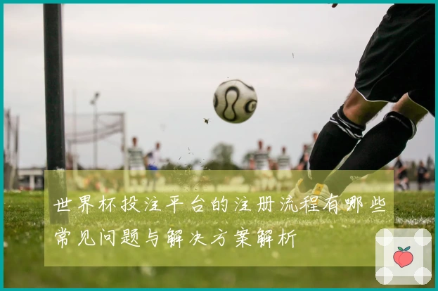 世界杯投注平台的注册流程有哪些常见问题与解决方案解析
