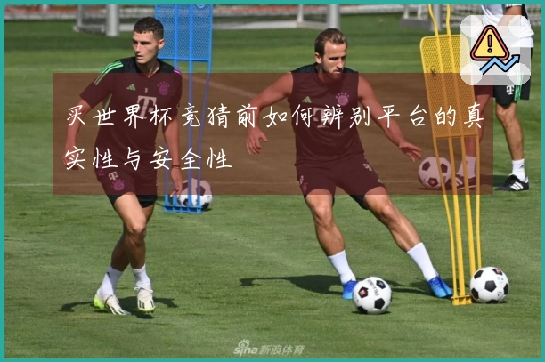买世界杯竞猜前如何辨别平台的真实性与安全性