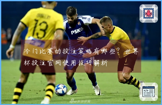 冷门比赛的投注策略有哪些？世界杯投注官网使用技巧解析